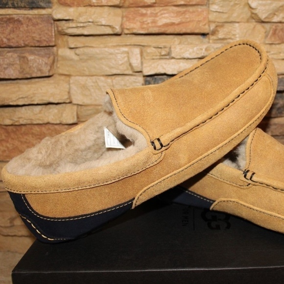 NEW UGG ASCOT‎ Suede Shearling Slippers main image 4